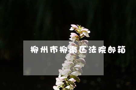 柳州市柳南区法院邮箱 柳州市柳南区法院邮箱