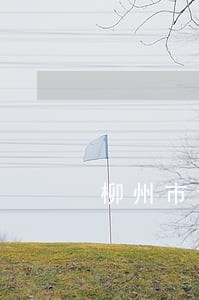 柳州市法律咨询电话号码 柳州市法律咨询电话号码