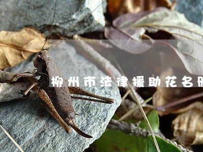 柳州市法律援助花名册 柳州市法律援助花名册