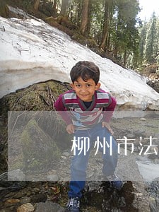 柳州市法院主任是谁 柳州市法院主任是谁
