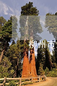 柳州市法院公务员工资 柳州市法院公务员工资