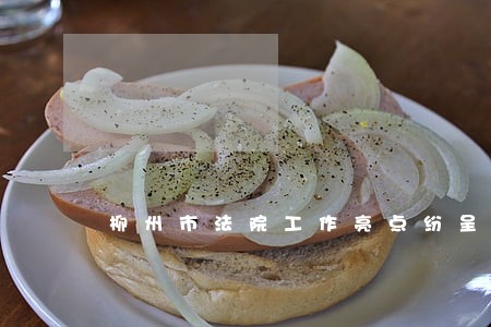 柳州市法院工作亮点纷呈 柳州市法院工作亮点纷呈