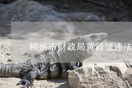 柳州市财政局黄毅强违法 柳州市财政局黄毅强违法