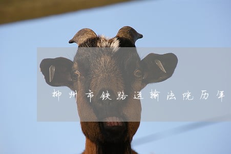 柳州市铁路运输法院历年分数 柳州市铁路运输法院历年分数
