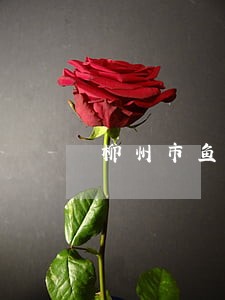 柳州市鱼峰区法院立案庭 柳州市鱼峰区法院立案庭