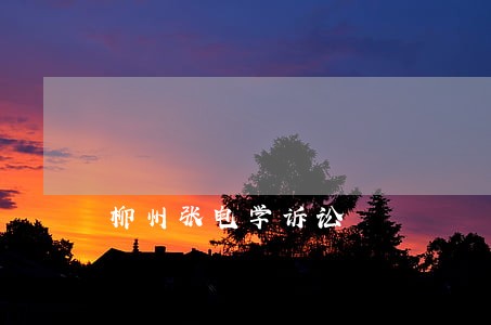 柳州张电学诉讼 柳州张电学诉讼