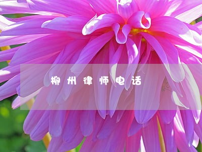 柳州律师电话 柳州律师电话