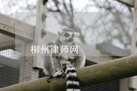 柳州律师网 柳州律师网