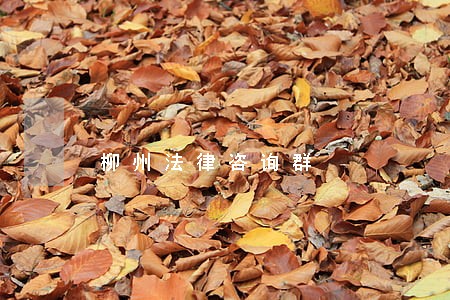 柳州法律咨询群 柳州法律咨询群