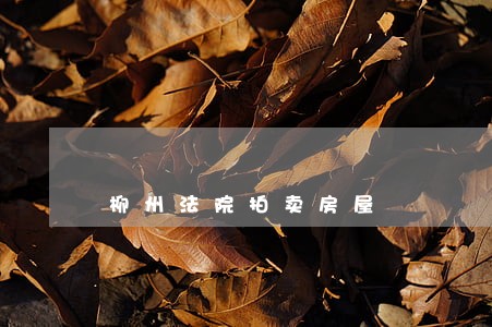 柳州法院拍卖房屋 柳州法院拍卖房屋