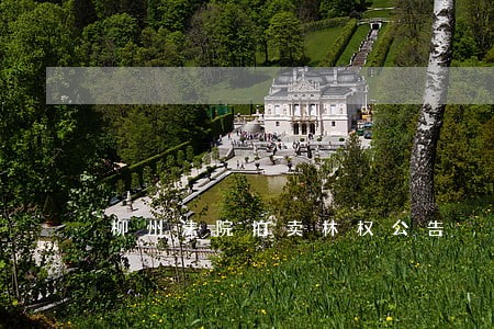柳州法院拍卖林权公告 柳州法院拍卖林权公告