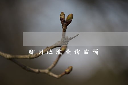 柳州法院查询密码