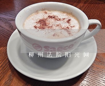 柳州法院阳光网