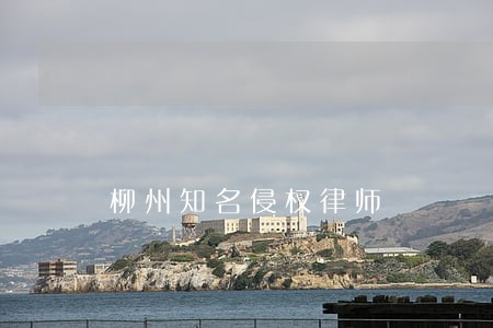柳州知名侵权律师