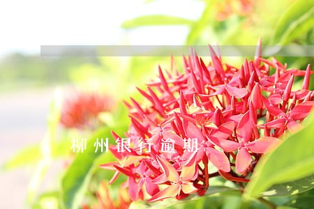 柳州银行逾期 柳州银行逾期