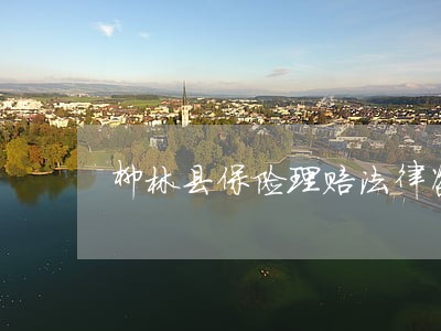 柳林县保险理赔法律咨询热线 柳林县保险理赔法律咨询热线