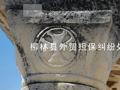 柳林县外贸担保纠纷处理律师