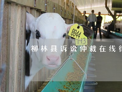 柳林县诉讼仲裁在线律师
