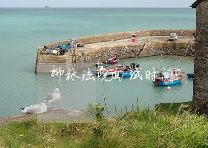 柳林法院面试时间 柳林法院面试时间