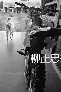 柳正忠律师 柳正忠律师