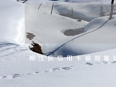柳江区信用卡逾期案梁文俊 柳江区信用卡逾期案梁文俊