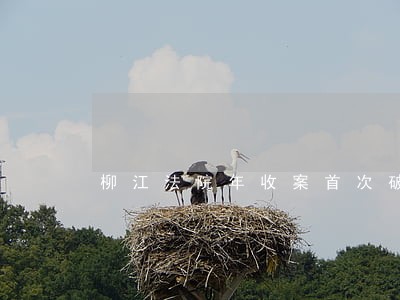 柳江法院年收案首次破万 柳江法院年收案首次破万