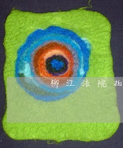 柳江法院拍卖一批房产 柳江法院拍卖一批房产