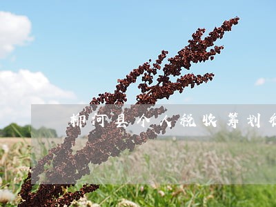柳河县个人税收筹划律师 柳河县个人税收筹划律师