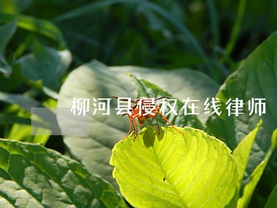 柳河县侵权在线律师 柳河县侵权在线律师
