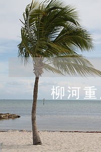柳河重点驾驶员逾期名单 柳河重点驾驶员逾期名单