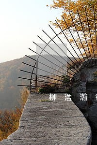 柳浩瀚律师 柳浩瀚律师
