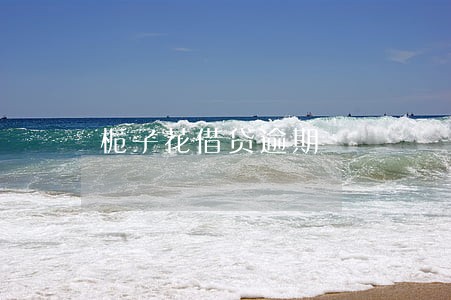 栀子花借贷逾期 栀子花借贷逾期