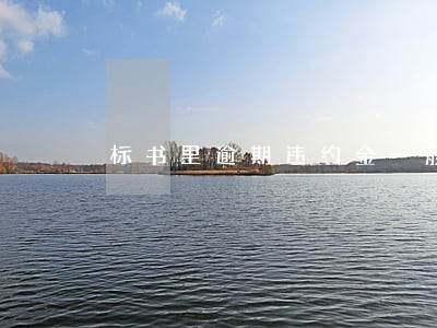 标书里逾期违约金一般是多少 标书里逾期违约金一般是多少