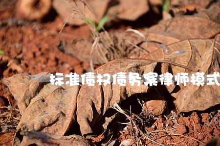 标准债权债务案律师模式 标准债权债务案律师模式