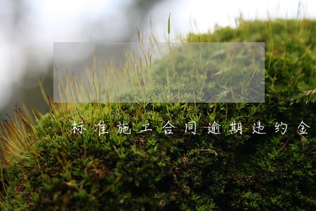 标准施工合同逾期违约金