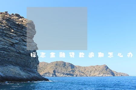 标志金融贷款逾期怎么办 标志金融贷款逾期怎么办
