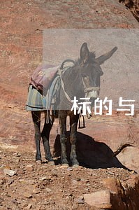标的与法律关系
