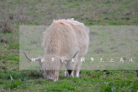 标致车贷逾期多久之内没事 标致车贷逾期多久之内没事