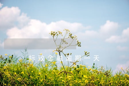 标致金融逾期一天 标致金融逾期一天
