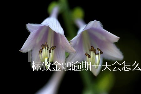 标致金融逾期一天会怎么样 标致金融逾期一天会怎么样