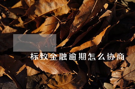 标致金融逾期怎么协商 标致金融逾期怎么协商