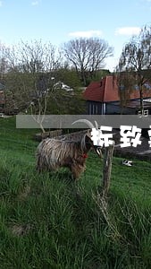 标致雪铁龙金融逾期短信 标致雪铁龙金融逾期短信