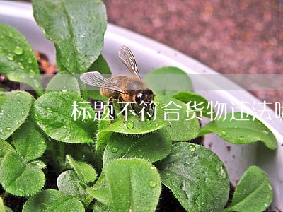 标题不符合货物违法哪条法律