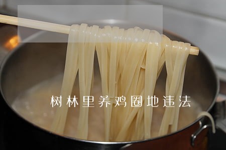 树林里养鸡圈地违法