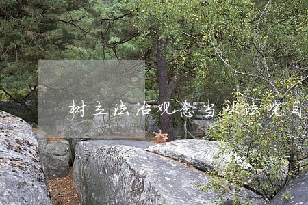 树立法治观念当从法院自身做起 树立法治观念当从法院自身做起