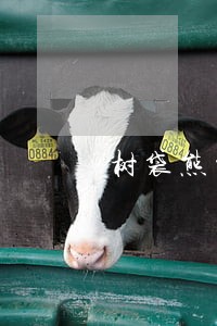 树袋熊贷款逾期一天信用记录 树袋熊贷款逾期一天信用记录