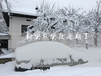 树贷熊贷款逾期了 树贷熊贷款逾期了