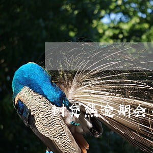 树贷熊逾期会不会自动扣款