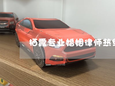 栖霞专业婚姻律师热线 栖霞专业婚姻律师热线