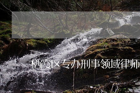 栖霞区专办刑事领域律师 栖霞区专办刑事领域律师